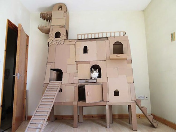 Detail Bikin Rumah Kucing Nomer 31