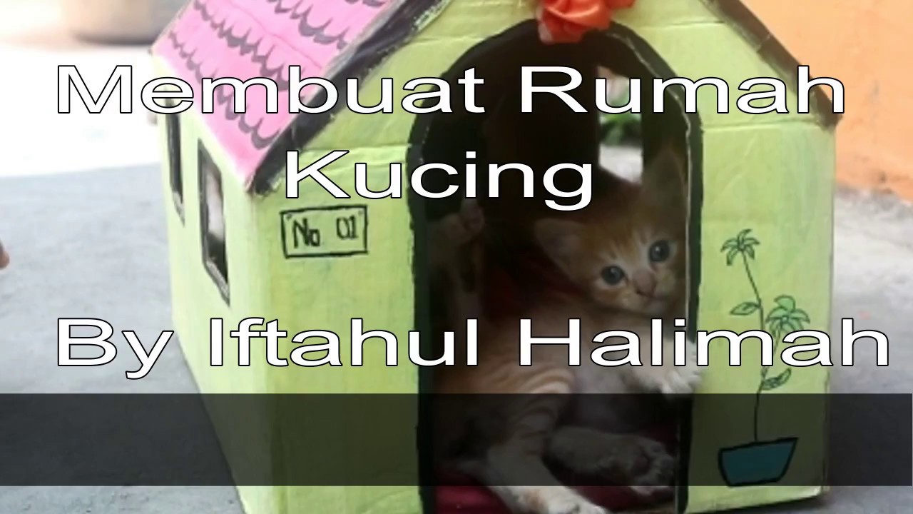 Detail Bikin Rumah Kucing Nomer 53