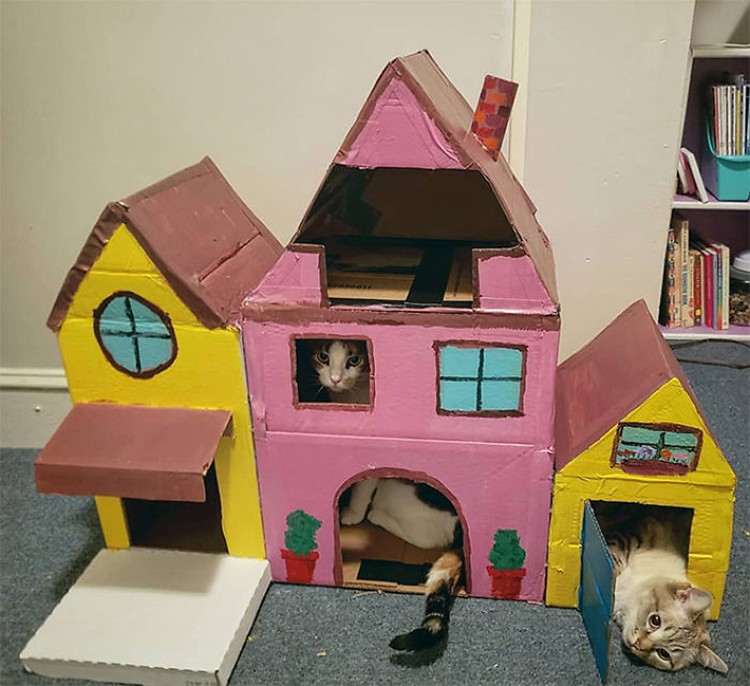 Detail Bikin Rumah Kucing Dari Kardus Nomer 18