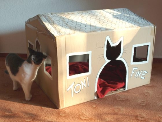 Detail Bikin Rumah Kucing Dari Kardus Nomer 29