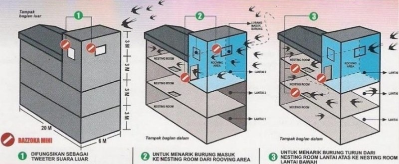 Detail Bikin Rumah Walet Nomer 43