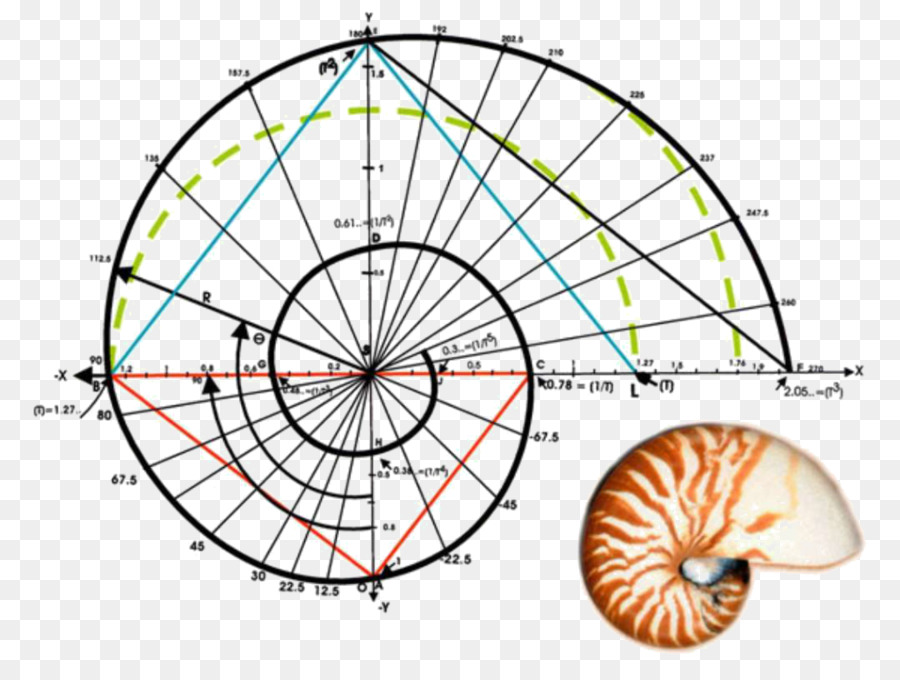 Detail Bilangan Fibonacci Dan Golden Ratio Nomer 19