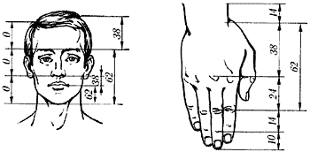 Detail Bilangan Fibonacci Dan Golden Ratio Nomer 34