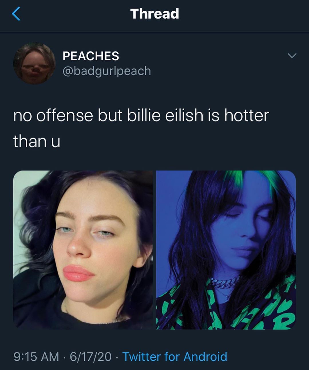 Detail Billie Eilish Meme Nomer 16