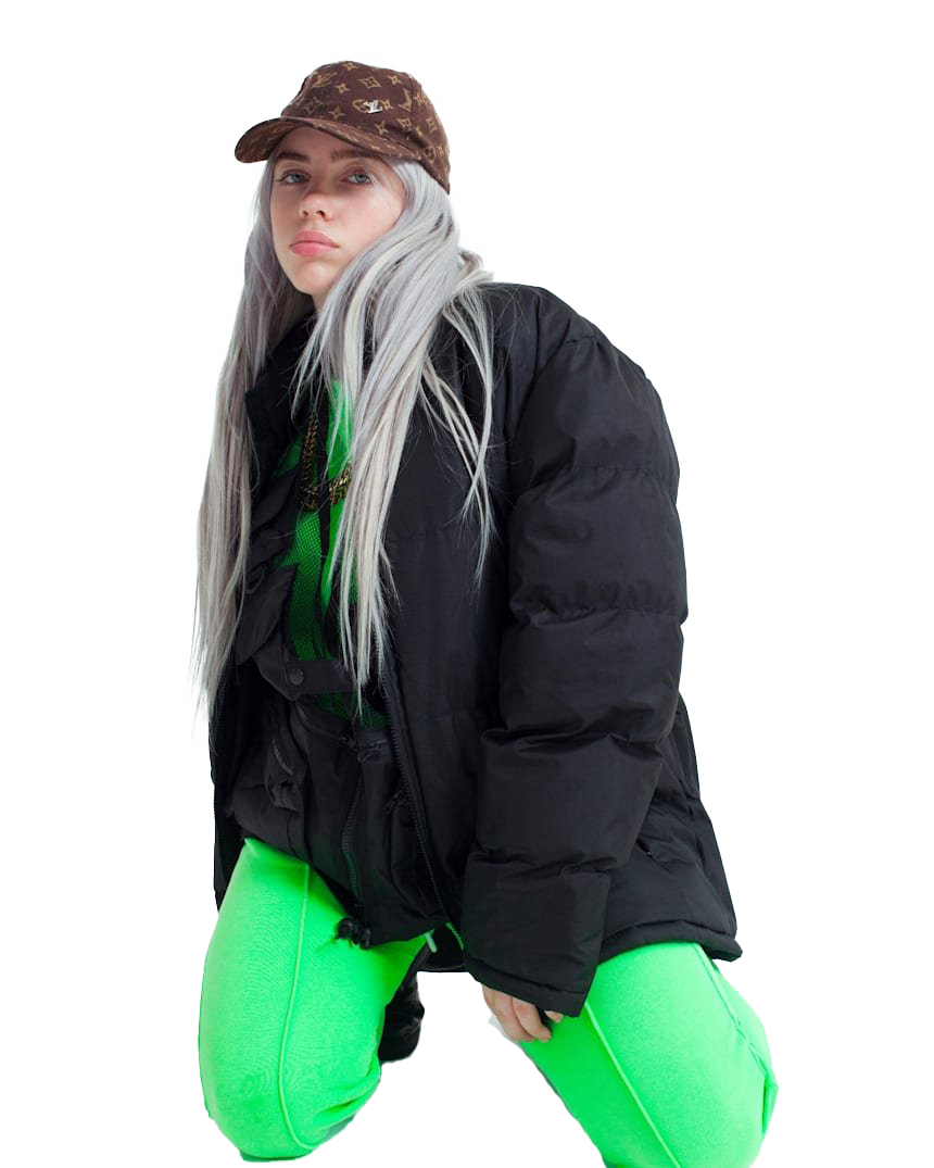 Detail Billie Eilish Png Nomer 41