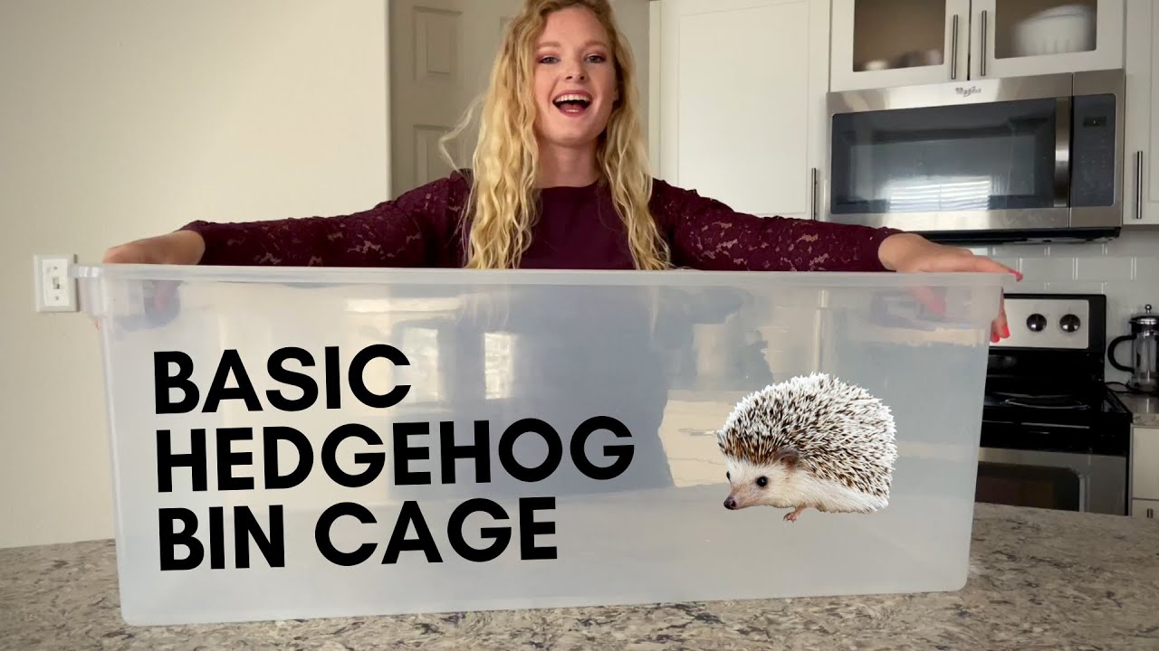 Detail Bin Cage For Hedgehog Nomer 23