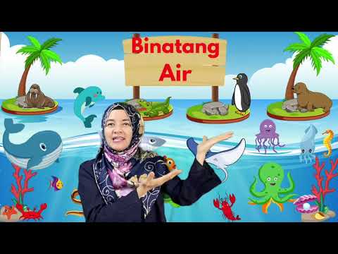 Detail Binatang Air Laut Nomer 40