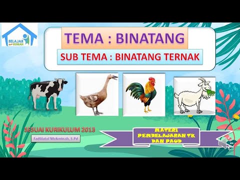 Detail Binatang Binatang Ternak Nomer 34