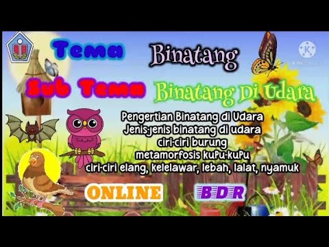 Detail Binatang Di Udara Nomer 36