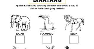 Detail Binatang Kaki Dua Nomer 49