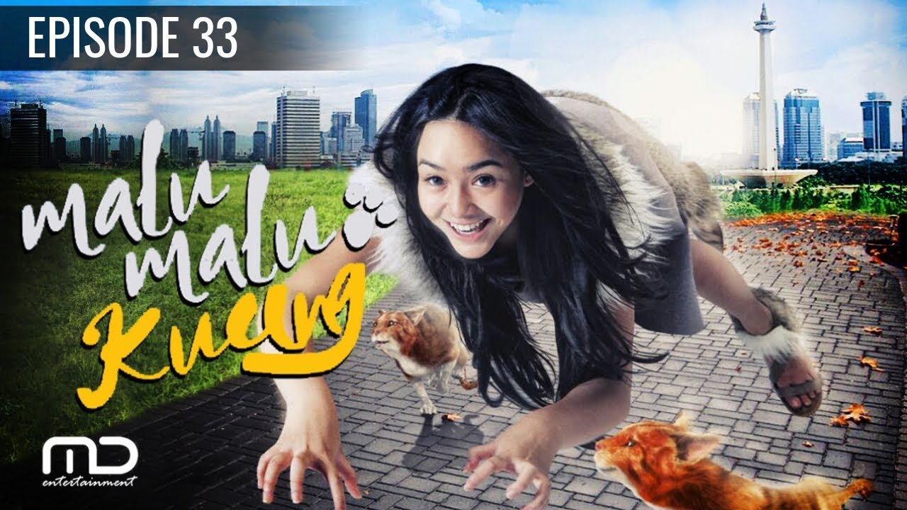 Detail Binatang Malu Malu Nomer 16