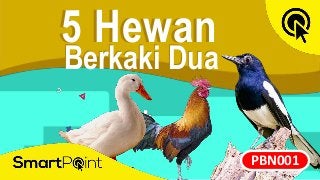 Detail Binatang Yang Berkaki Dua Nomer 33