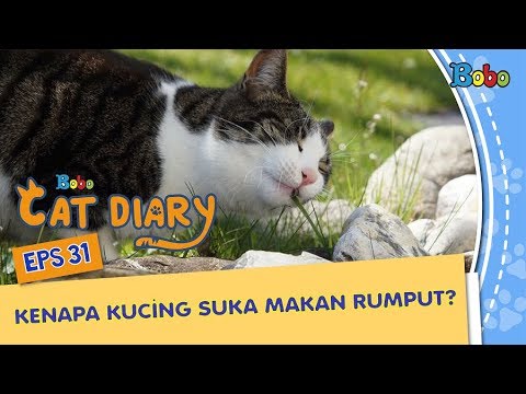 Detail Binatangnya Makan Rumput Nomer 33