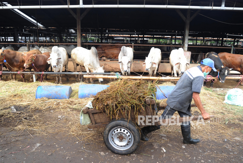 Detail Binatangnya Makan Rumput Nomer 35