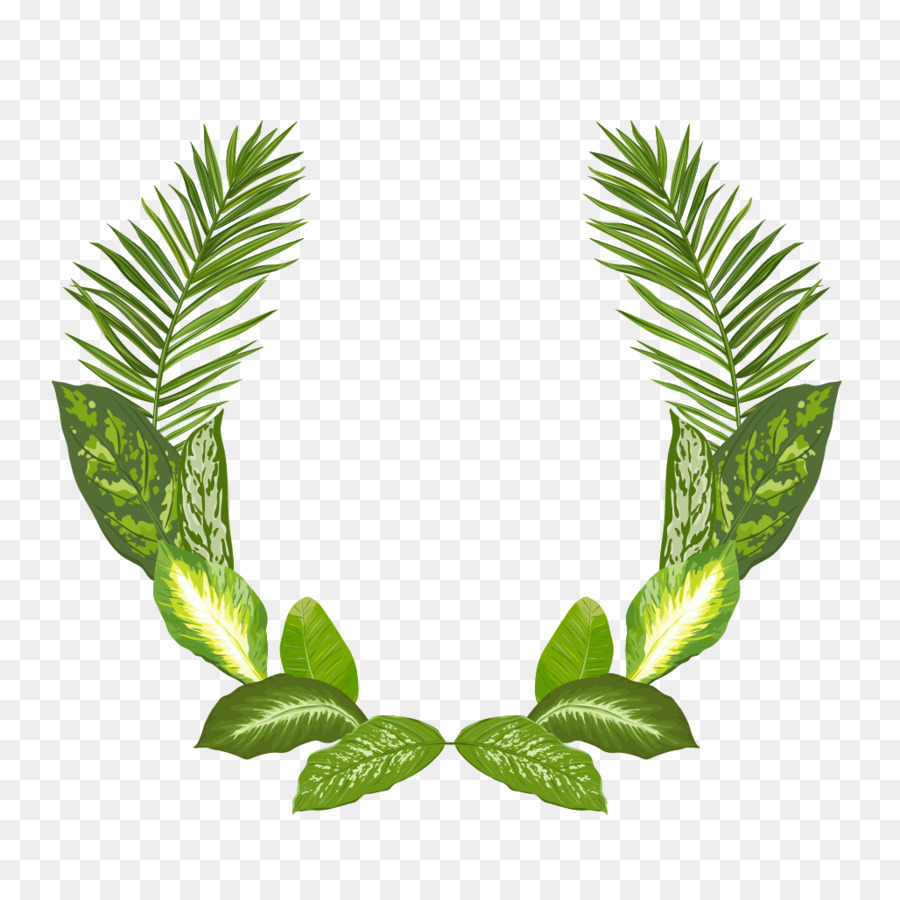 Detail Bingkai Daun Vector Nomer 11
