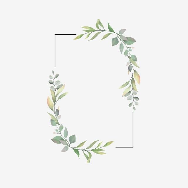 Detail Bingkai Daun Vector Nomer 12