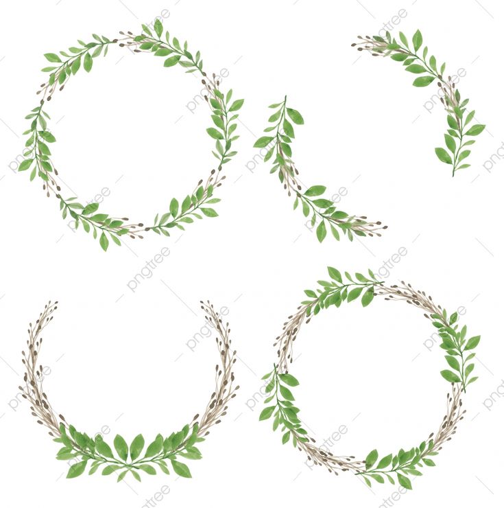 Detail Bingkai Daun Vector Nomer 21