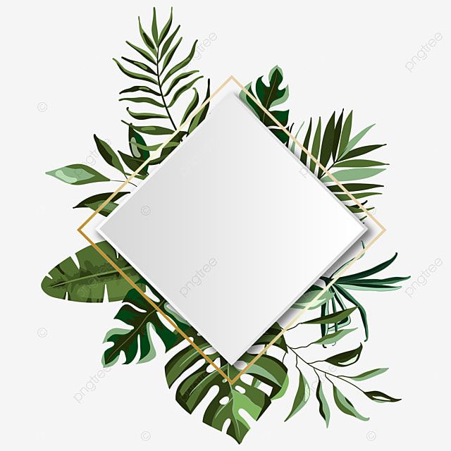 Detail Bingkai Daun Vector Nomer 23