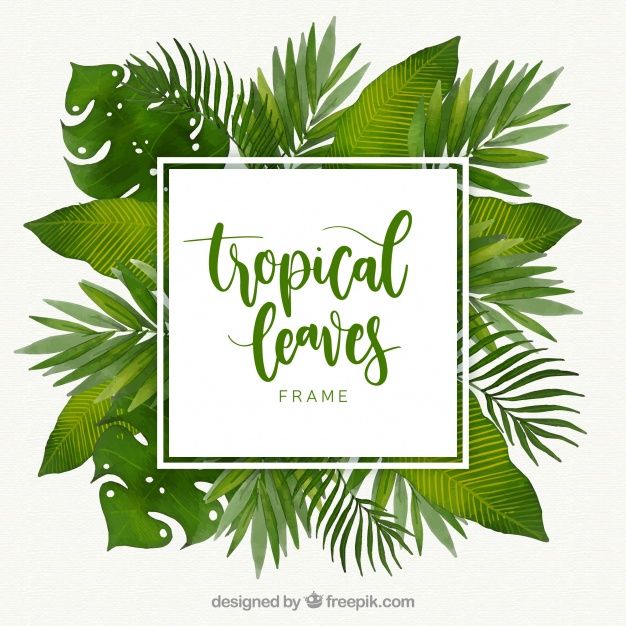 Detail Bingkai Daun Vector Nomer 47