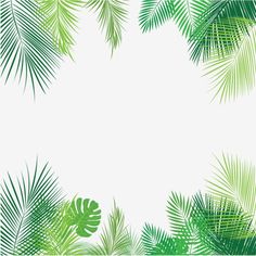 Detail Bingkai Daun Vector Nomer 49