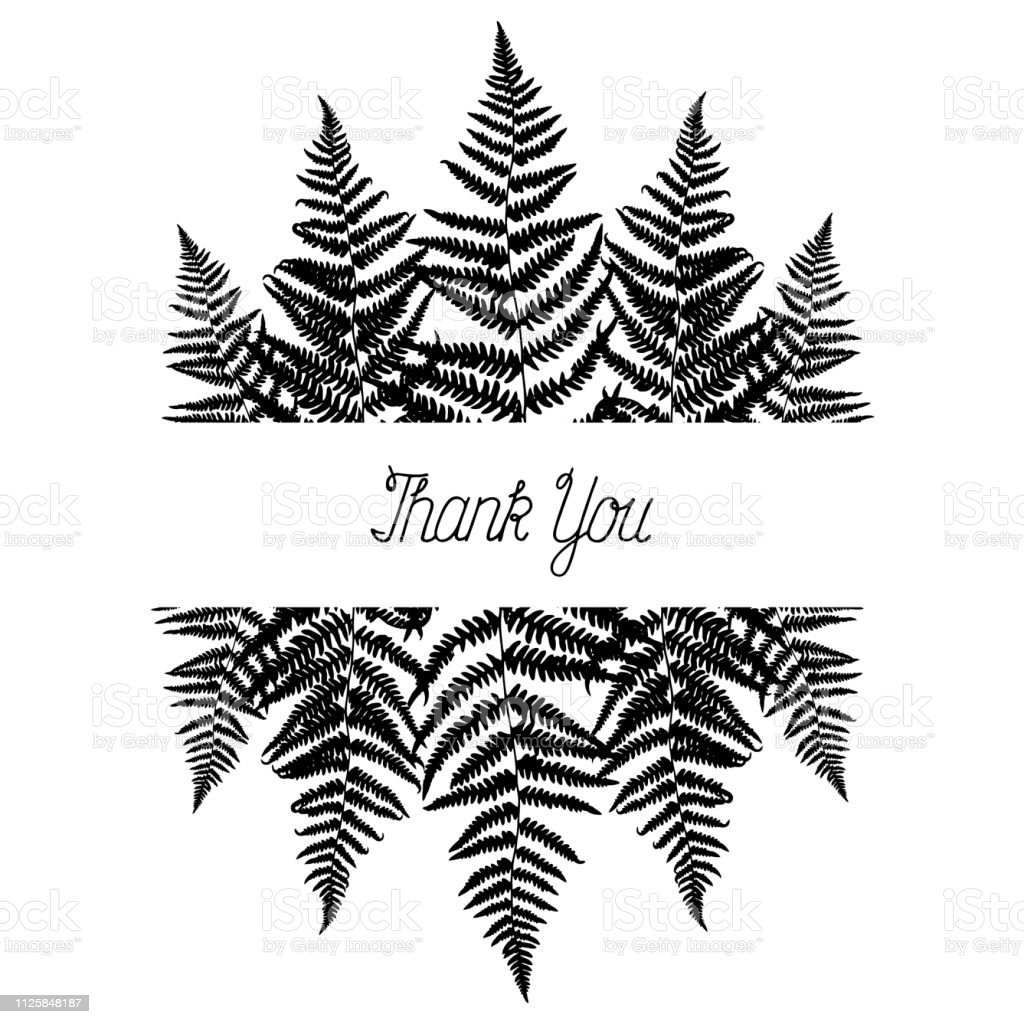 Detail Bingkai Daun Vector Nomer 50