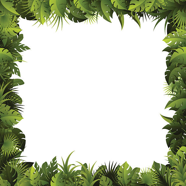 Detail Bingkai Daun Vector Nomer 10