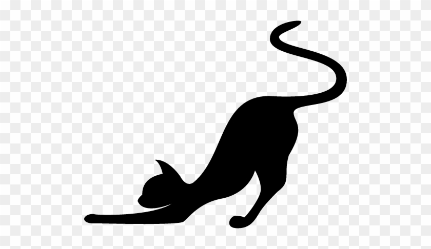 Detail Cat Stretching Nomer 9