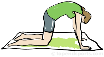 Detail Cat Stretching Nomer 7