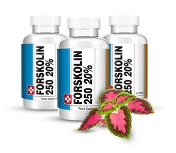 Detail Forskolin Bodybuilding Nomer 3