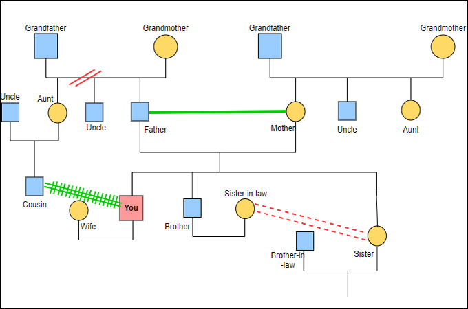 Detail Genogramm Programm Mac Nomer 2