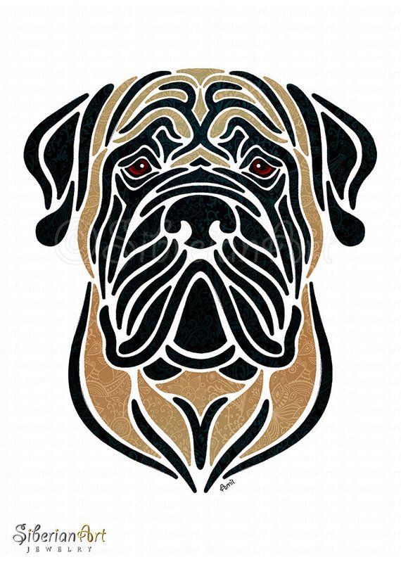 Detail Gray English Mastiff Nomer 2