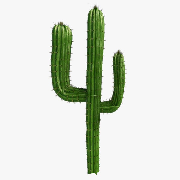 Detail Low Poly Cactus Nomer 11