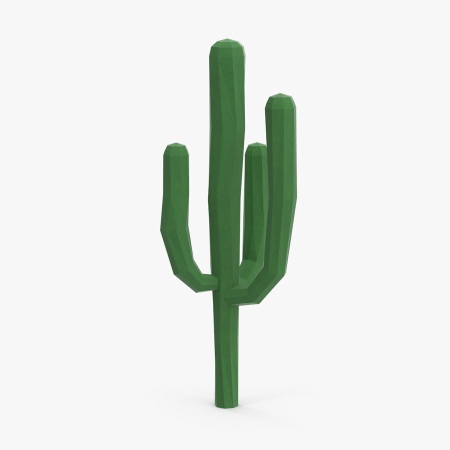 Detail Low Poly Cactus Nomer 12