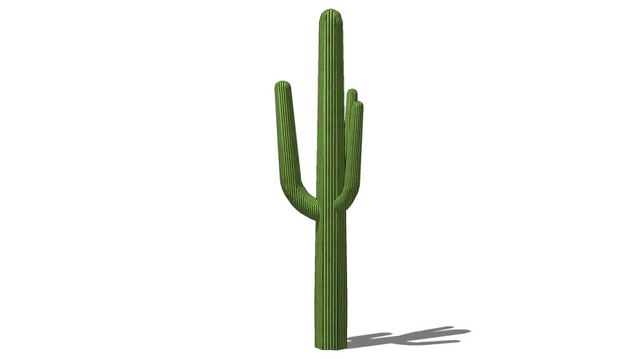 Detail Low Poly Cactus Nomer 20