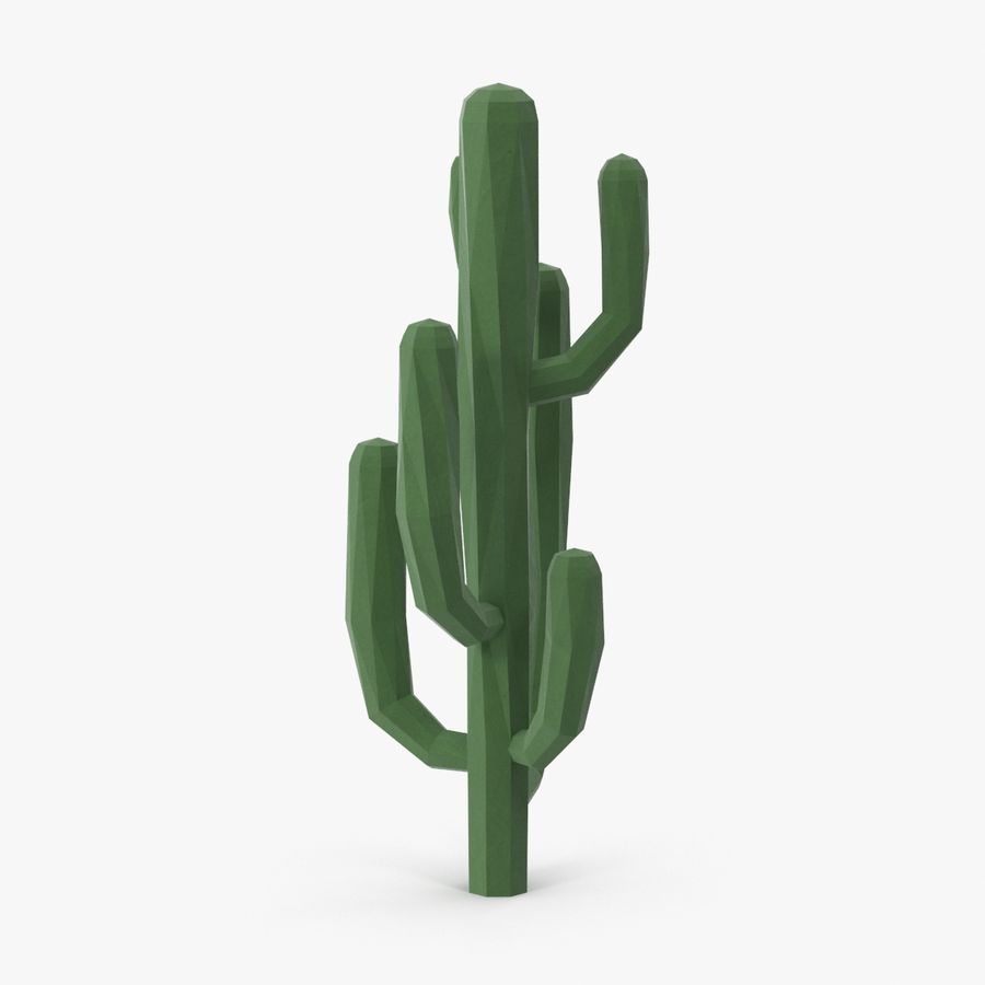 Detail Low Poly Cactus Nomer 2