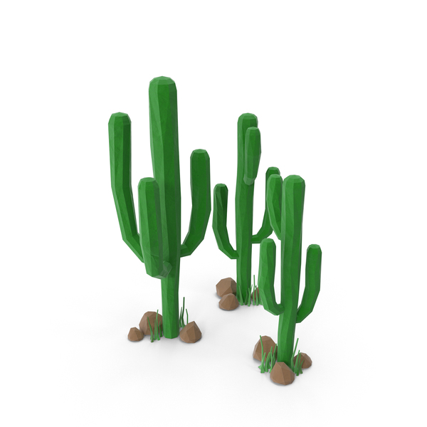 Detail Low Poly Cactus Nomer 3