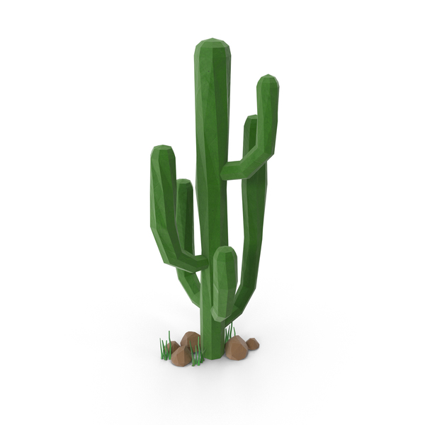 Detail Low Poly Cactus Nomer 6