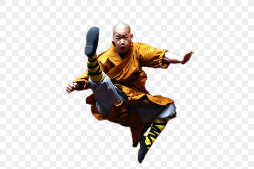 Detail Shaolin Monk Kick Nomer 3