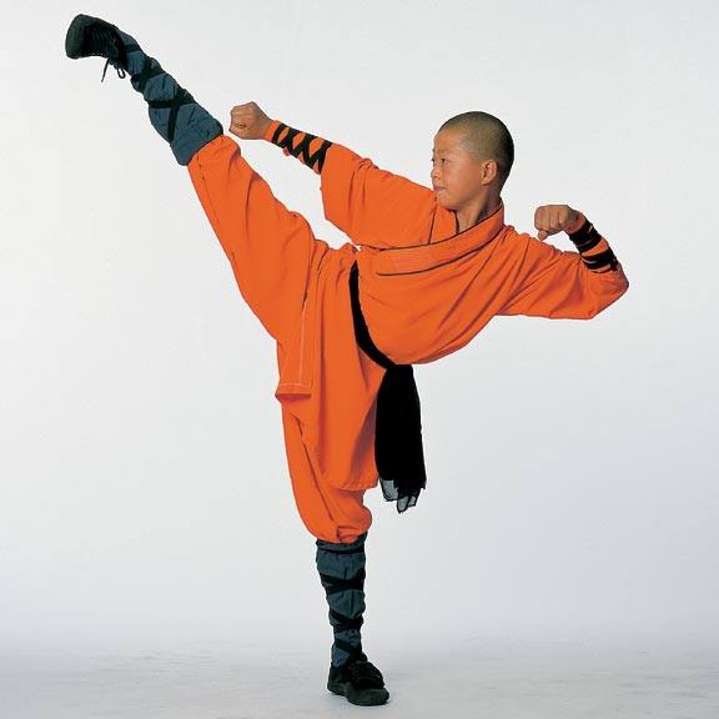 Detail Shaolin Monk Kick Nomer 5