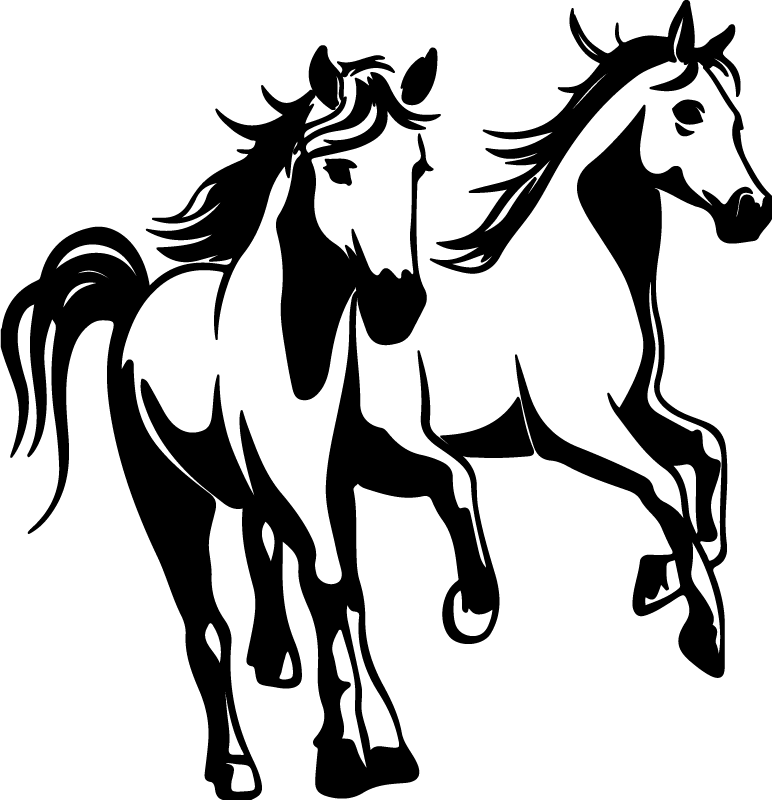Detail Zwei Pferde Nomer 7