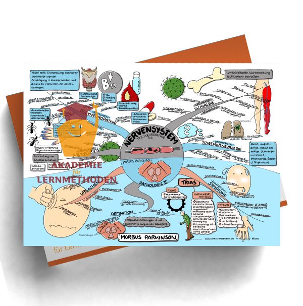 Concept Map Nervensystem - KibrisPDR