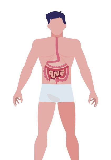 Detail Darm Anatomie Frau Nomer 20