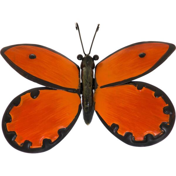 Detail Schmetterling Schwarz Orange Nomer 10