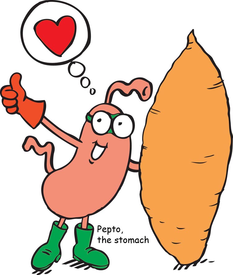Detail Sweet Potato Cartoon Images Nomer 13