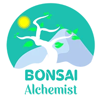 Detail Populus Alba Bonsai Nomer 7