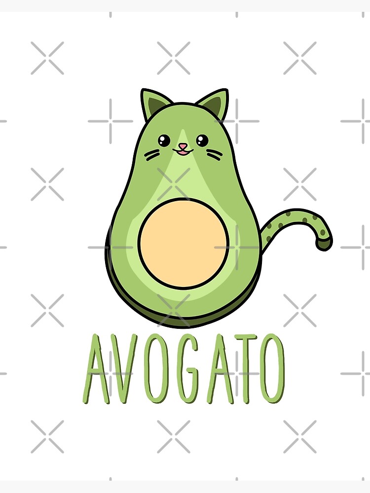 Detail Avocado Katze Nomer 6