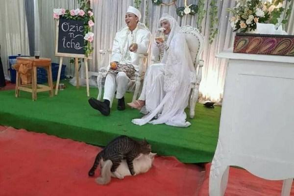 Download Foto Lucu Pengantin Baru Nomer 13