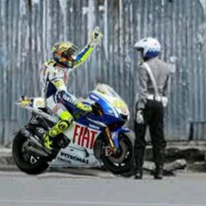 Detail Foto Lucu Rossi Nomer 21