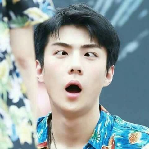 Detail Foto Lucu Sehun Nomer 7