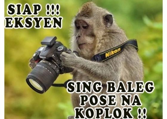 Detail Foto Lucu Tapi Keren Nomer 19